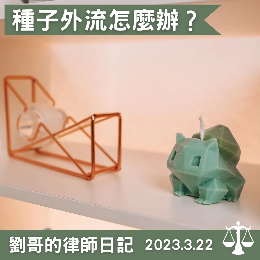 <金鑽鳳梨外流,植物品種及種苗法修法>