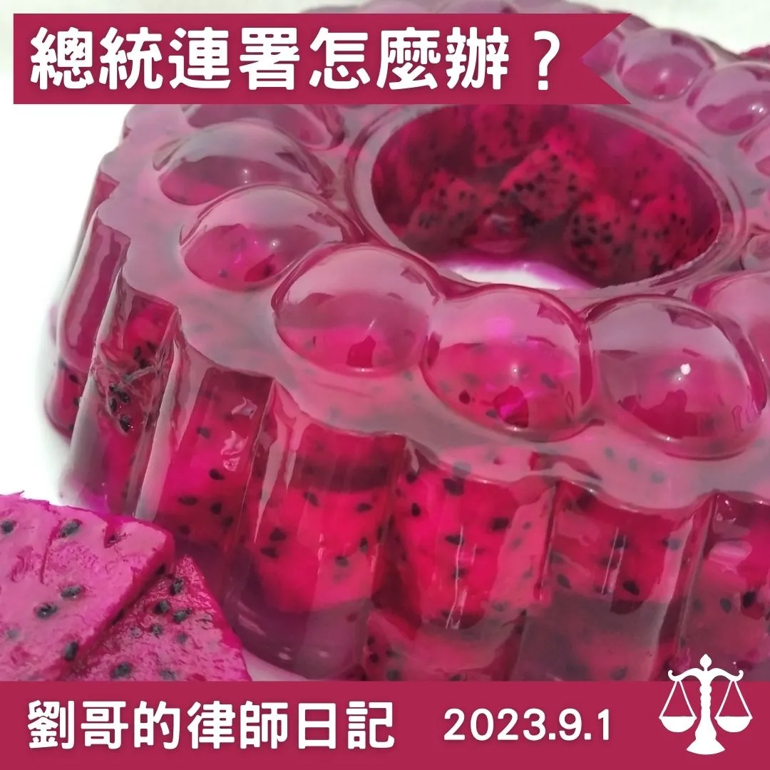 <沒有政黨的支持但又想選總統怎麼辦?>