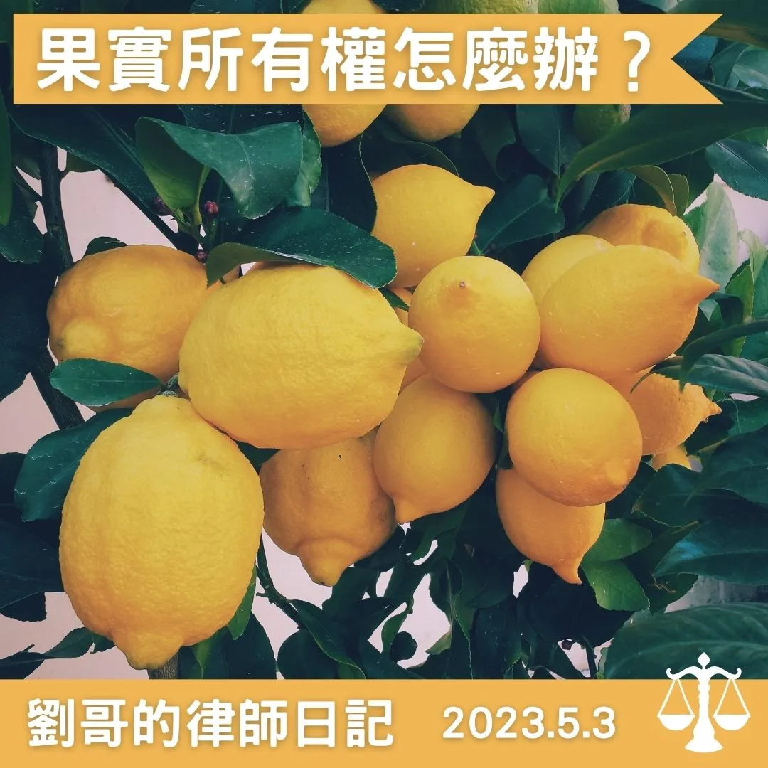 <牛頓的蘋果>