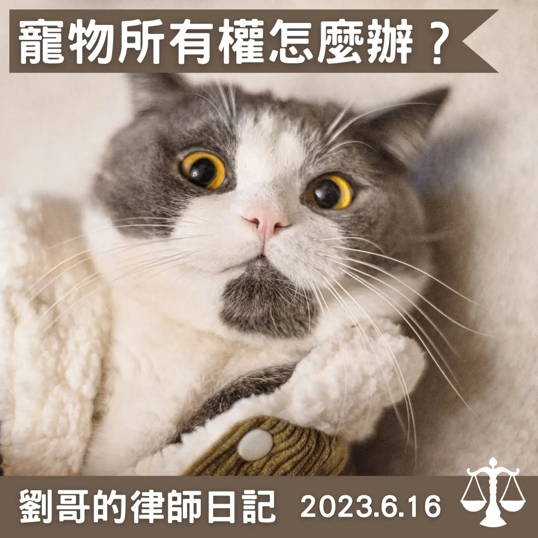 <是誰的貓貓?>台北民事律師/中正區民事律師