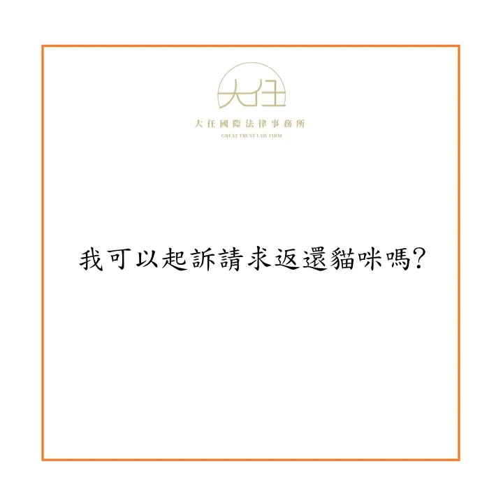 我可以起訴請求返還貓咪嗎?