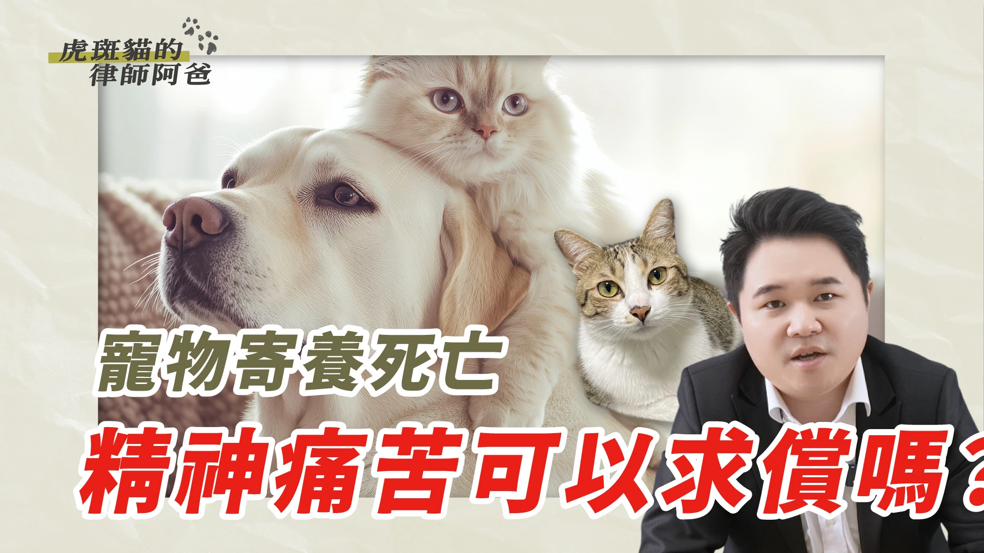 寵物寄養後再也回不了家,精神痛苦可以求償嗎?|虎斑貓的律師阿爸|陳建宏
