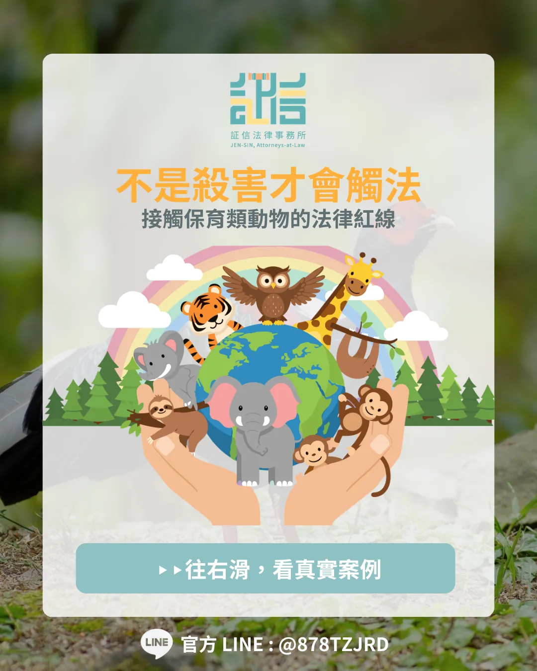 抓1隻都不行，從新聞事件看《野生動物保育法》的法律紅線