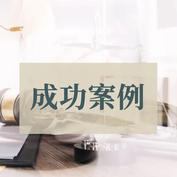 成功案例