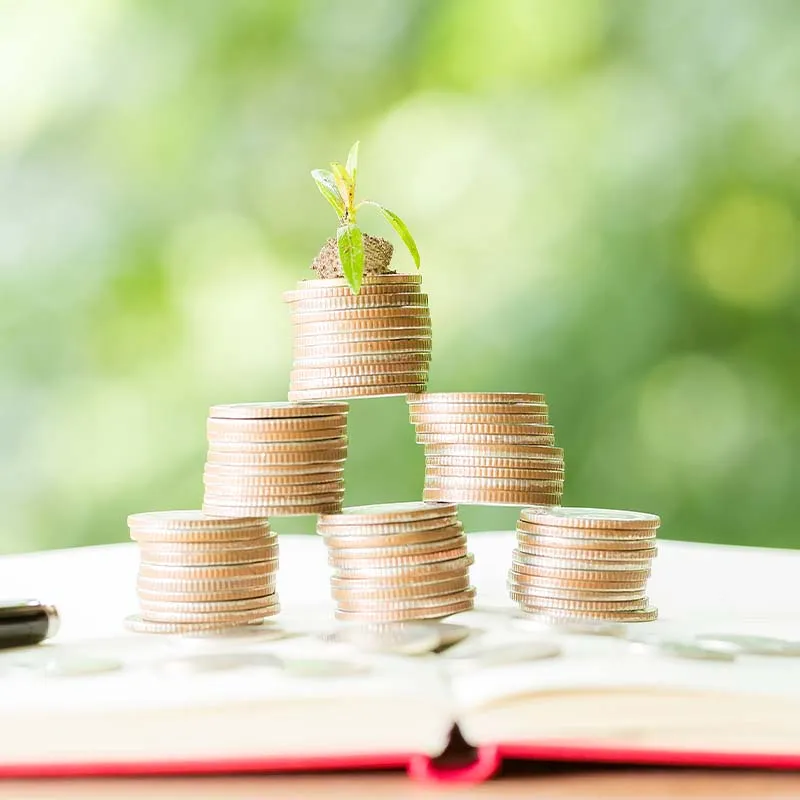 稅務諮詢,能為企業帶來什麼?|樹林記帳報稅|板橋記帳報稅|